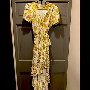 Leyden Hi-low maxi dress